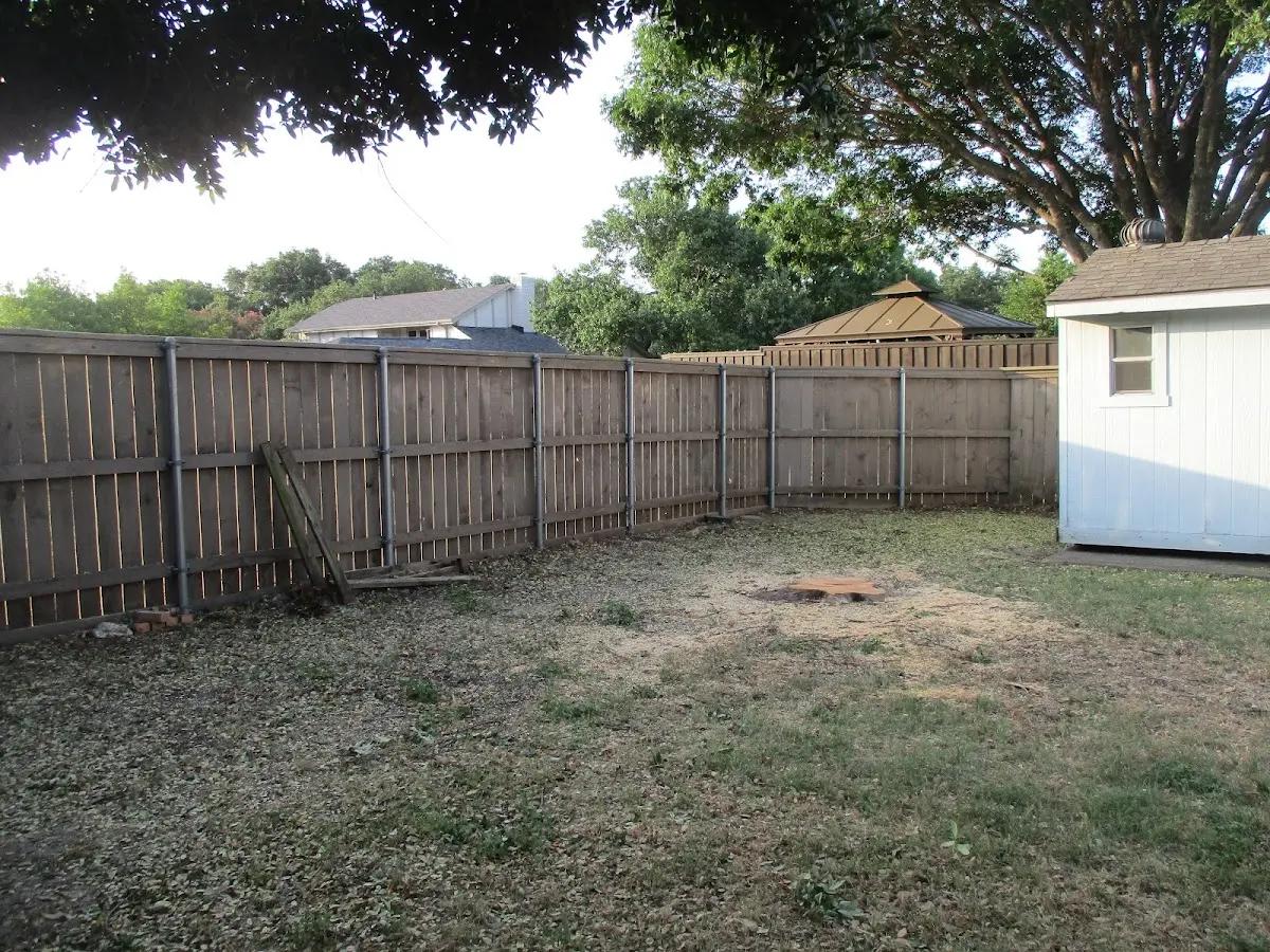 Cleared yard after professional tree removal in Paullina
